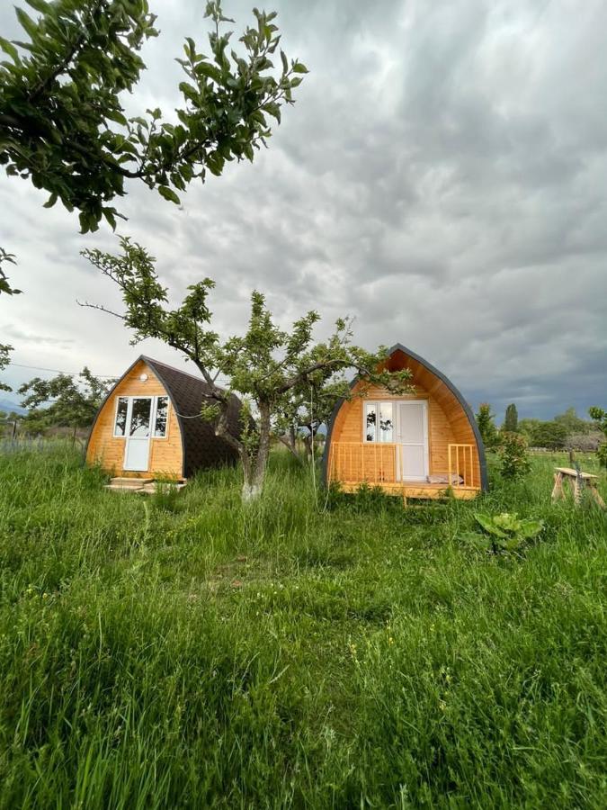 Bokonbayevo Bosogo Yurt Camp酒店 外观 照片
